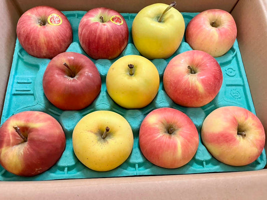 早生りんご発売開始🍎📦