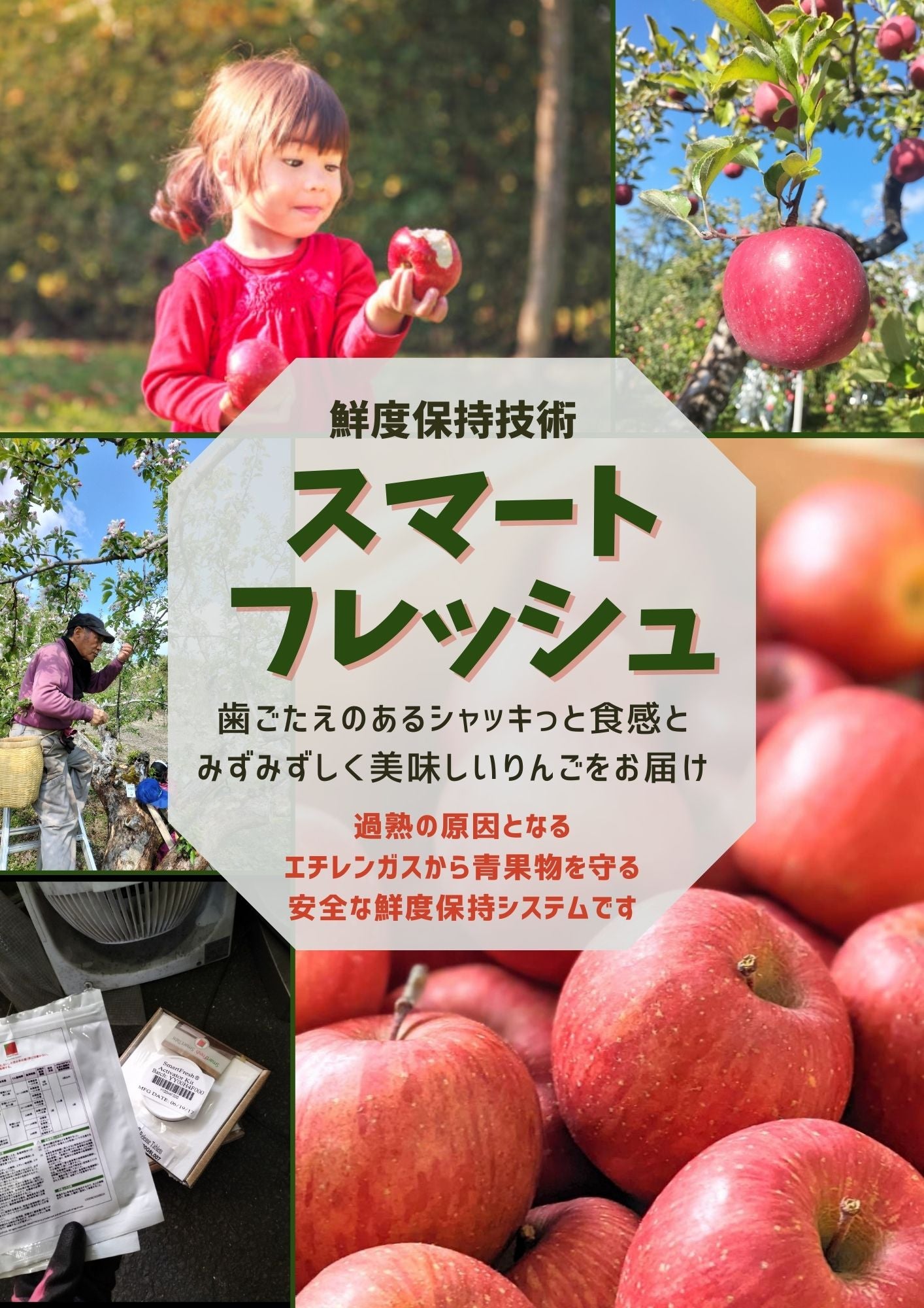 スマートフレッシュ加工りんご販売準備中 – みらいファーム・ラボ 株式