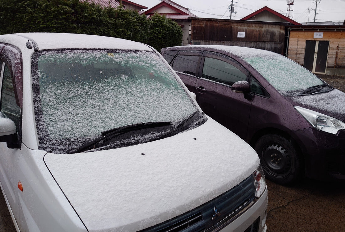 初雪が降りました・・・