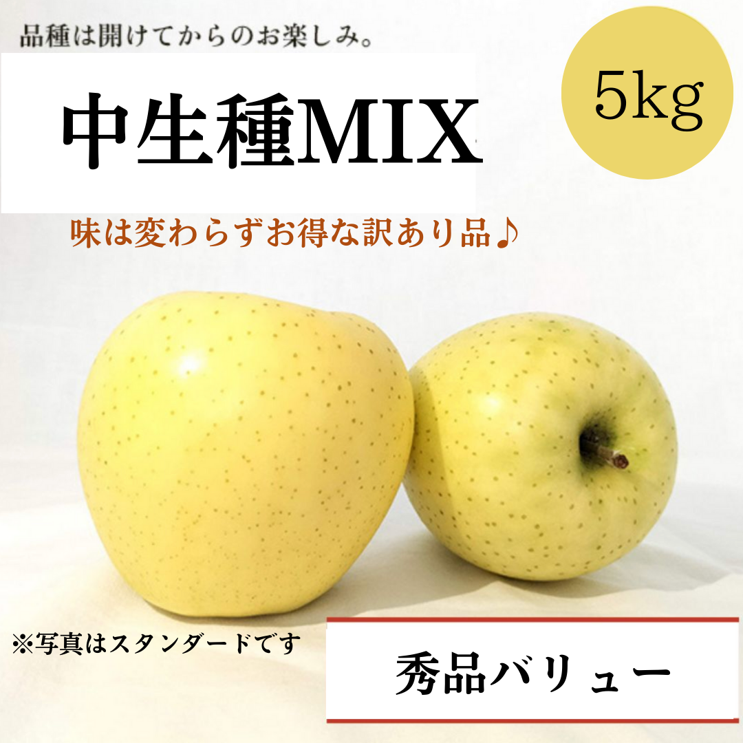 青森りんご 中生種MIX 5㎏(約12個〜約20個入)