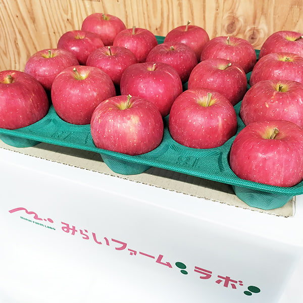青森りんご サンふじ 10㎏(約32個入)【デラックス/スタンダード/バリュー】