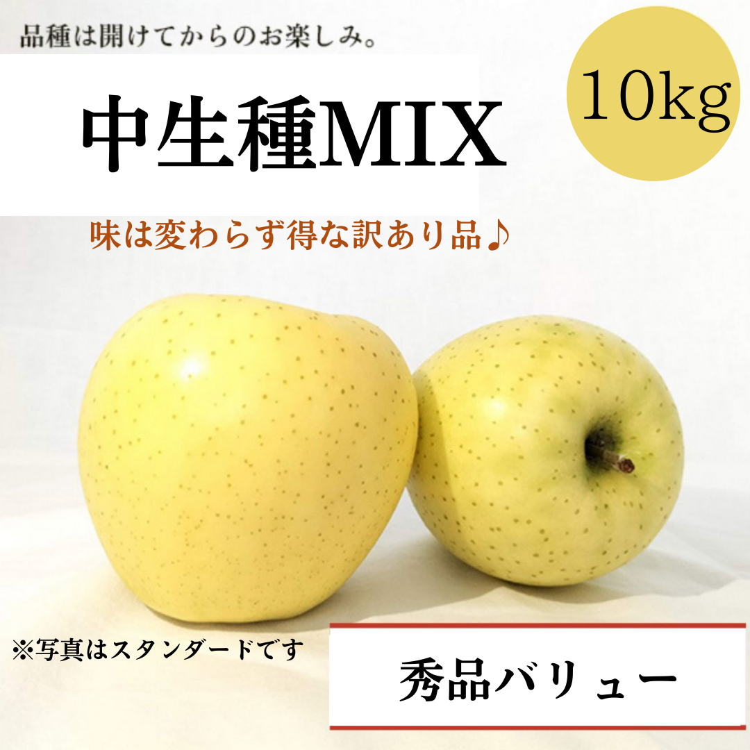 青森りんご 中生種MIX 10㎏(約24個〜40個入)