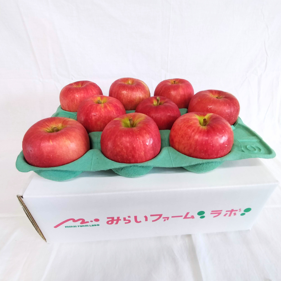 青森りんご サンふじ 3㎏(約9個入)【デラックス/スタンダード/バリュー】