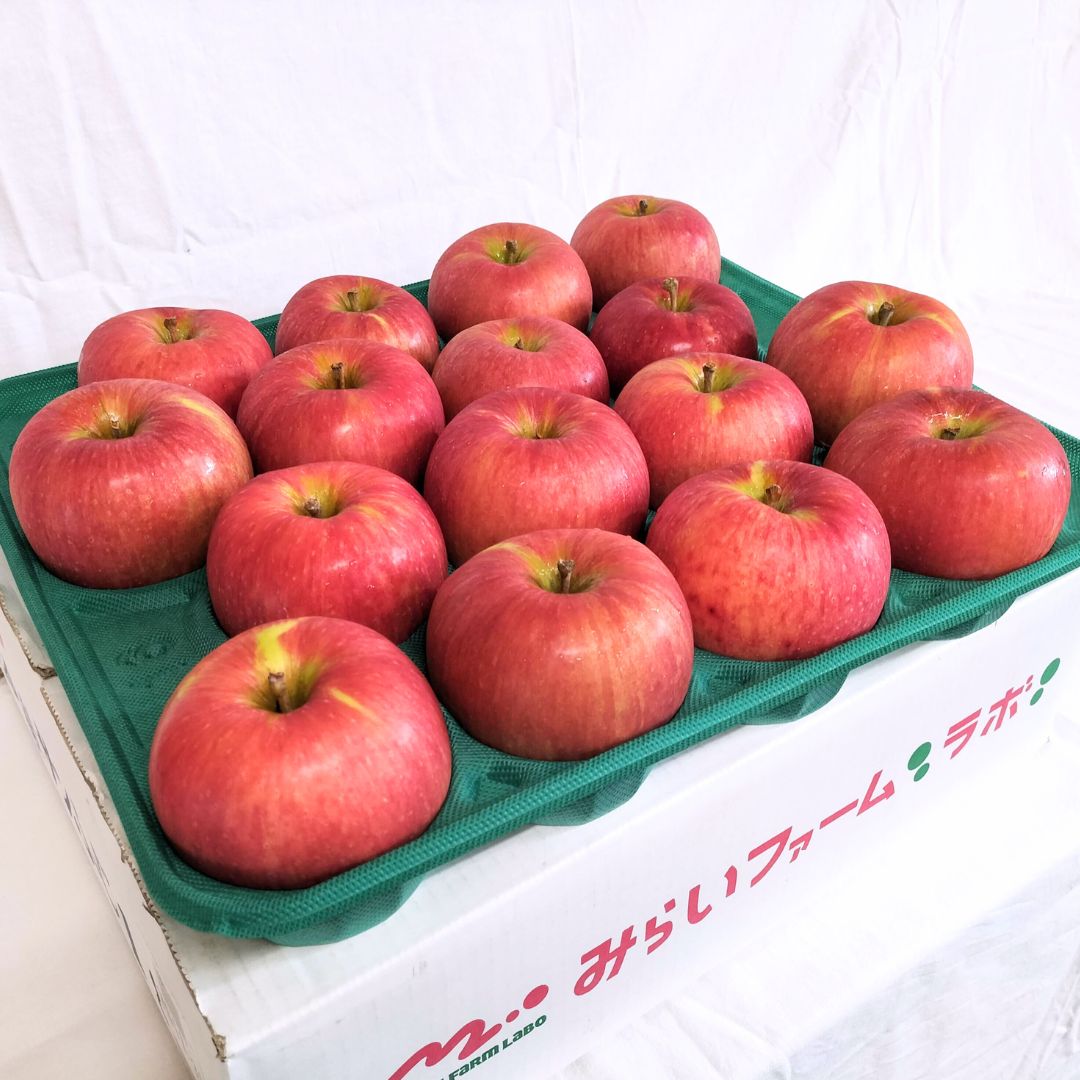 青森りんご サンフジ 5㎏(約16個入)【特秀/秀品/秀優】