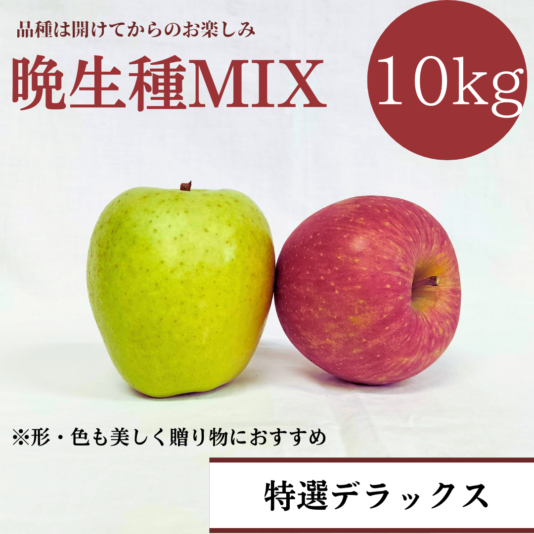 青森りんご 晩生種MIX 10㎏(約24個〜40個入)【デラックス/スタンダード/バリュー】