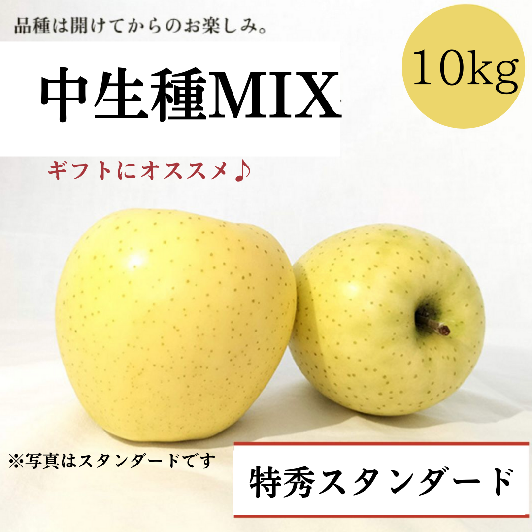 青森りんご 中生種MIX 10㎏(約24個〜40個入)