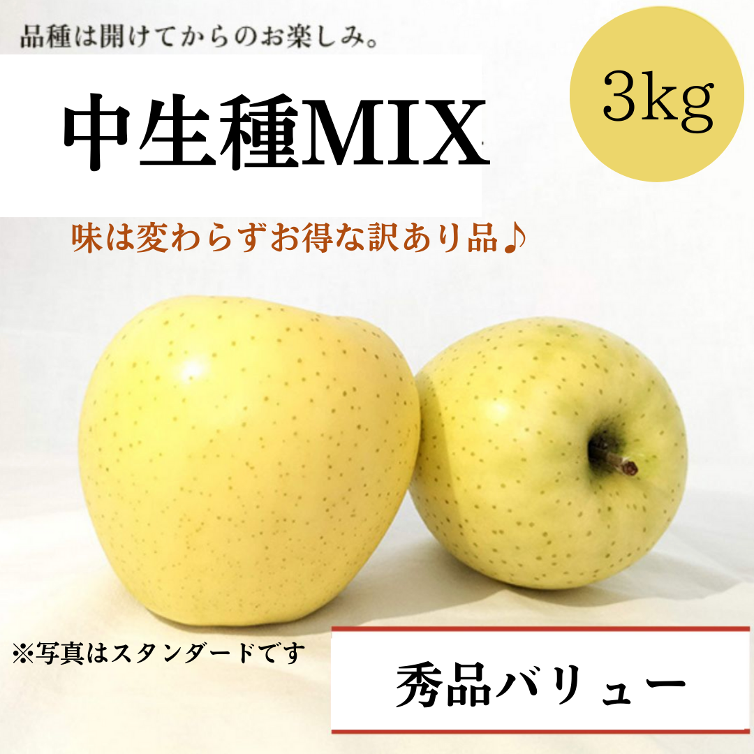 青森りんご 中生種MIX 3㎏(約7個〜約11個入)