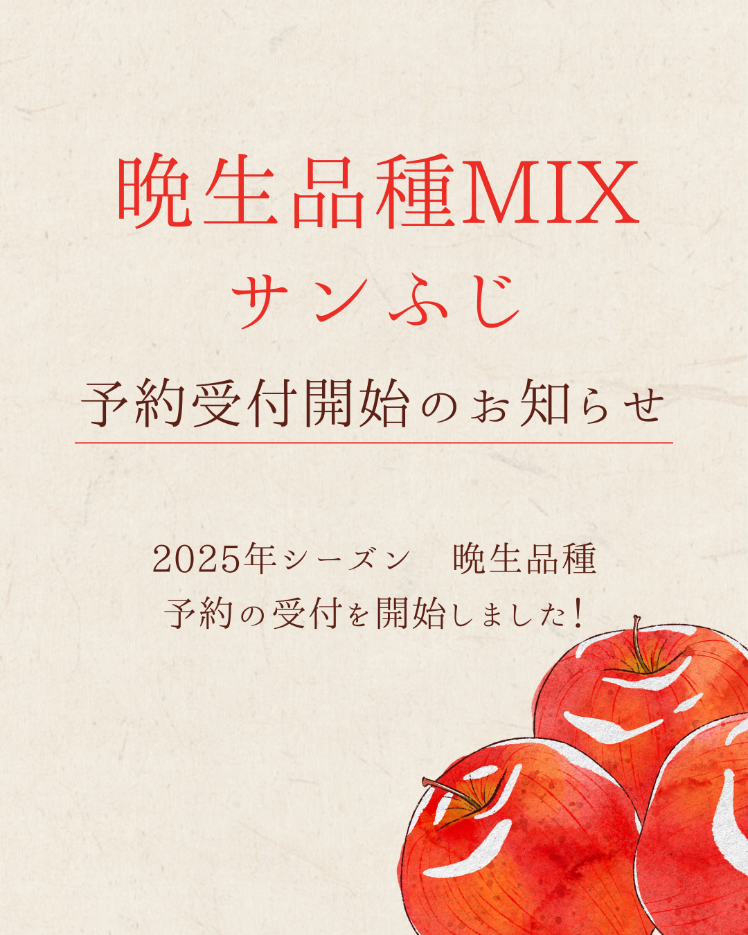 晩生品種販売開始