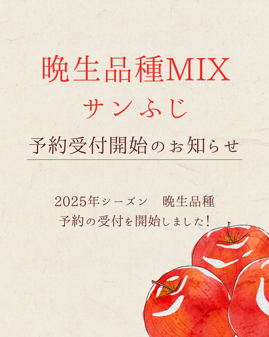 晩生品種販売開始