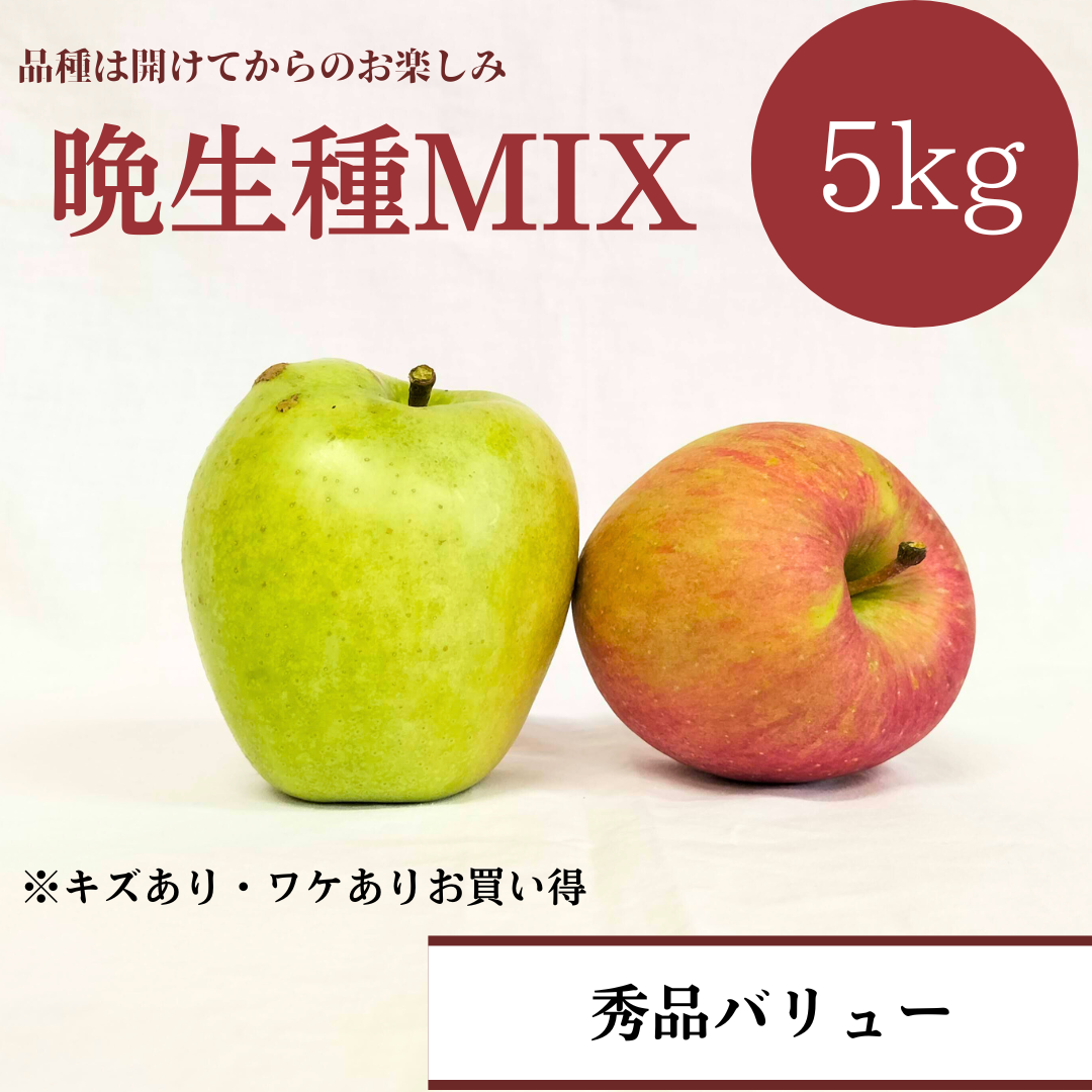 青森りんご 晩生種ミックス 5㎏（約16個入）【デラックス/スタンダード/バリュー】