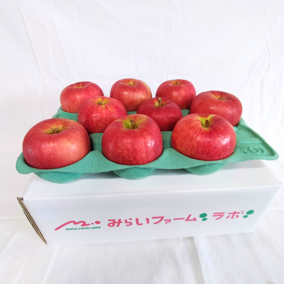 摘果りんご　青森県弘前市産　約25kg詰め　サンふじ　果物