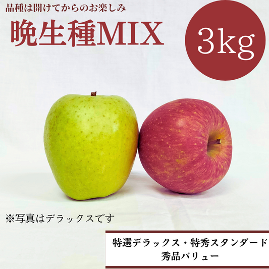 青森りんご 晩生種ミックス3㎏（約9個入）【デラックス/スタンダード/バリュー】
