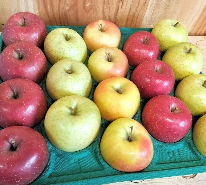 青森りんご 晩生種MIX 15㎏（約48個入）【スタンダード/バリュー】