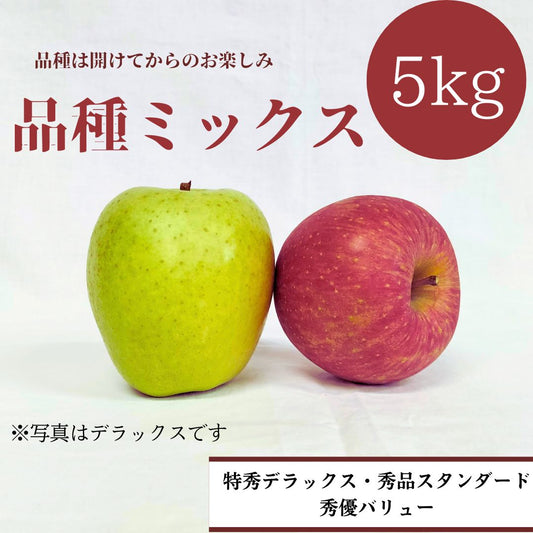 青森りんご 品種ミックス 5㎏（約16個入）【特秀/秀品/秀優】