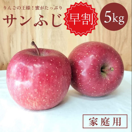 【早割】青森りんご サンふじ 5㎏（約16個入）【贈答用/家庭用】