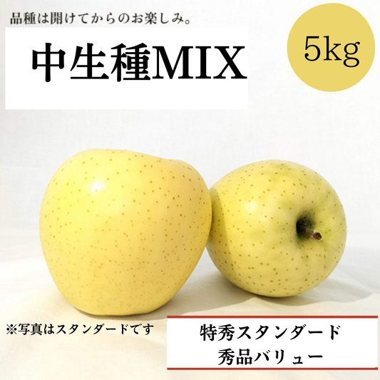 青森りんご 中生種MIX 5㎏（約12個〜約20個入）