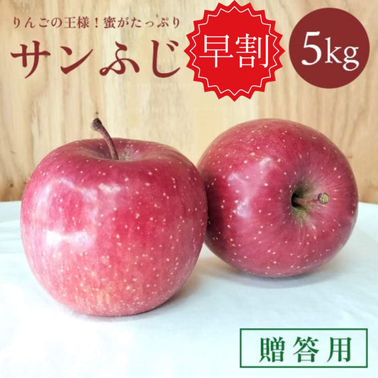 【早割】青森りんご サンふじ 5㎏（約16個入）【贈答用/家庭用】