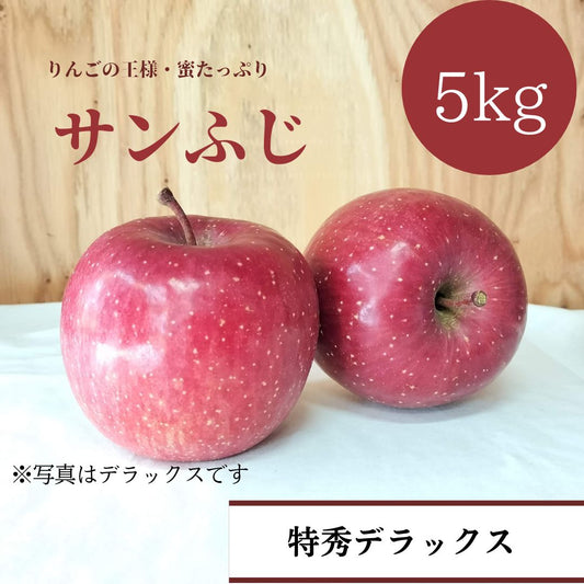 青森りんご サンフジ 5㎏（約16個入）【特秀/秀品/秀優】