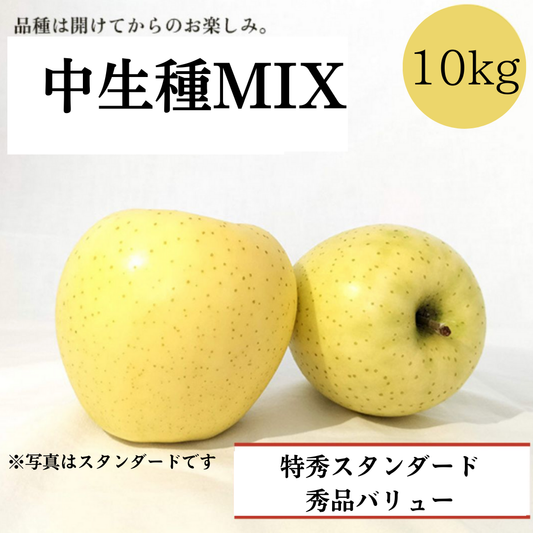 青森りんご 中生種MIX 10㎏（約24個〜40個入）