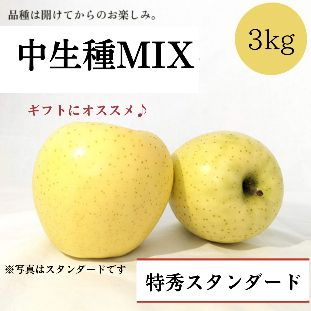 青森りんご 中生種MIX 3㎏（約7個〜約11個入）