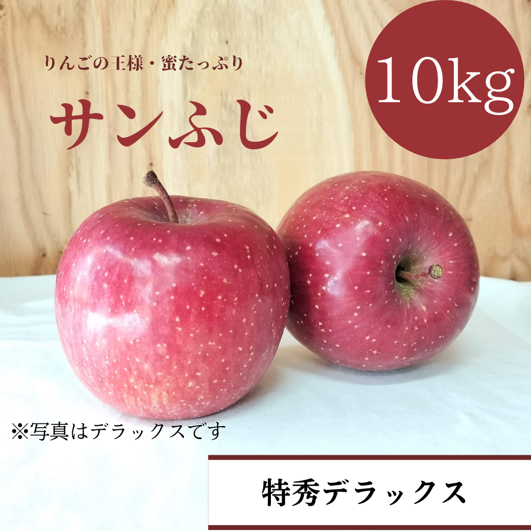 りんご　10kg　赤秀Aサンふじ　青森県産