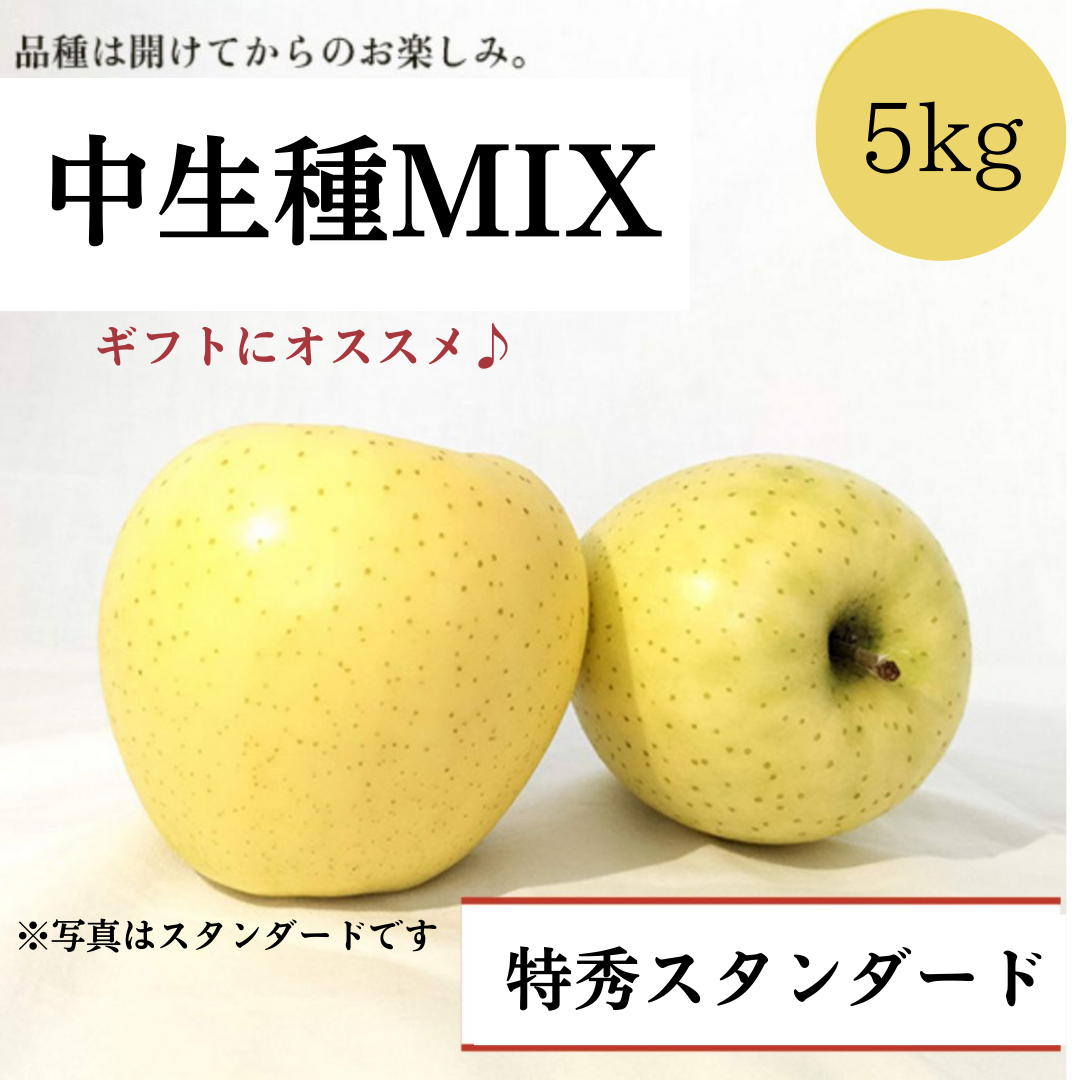 青森りんご 中生種MIX 5㎏（約12個〜約20個入）